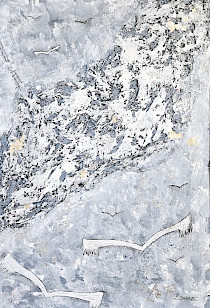 De natura angeli.8 